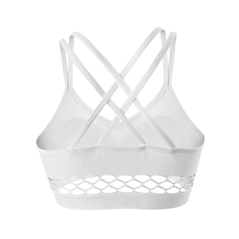 8556677468_1816636544