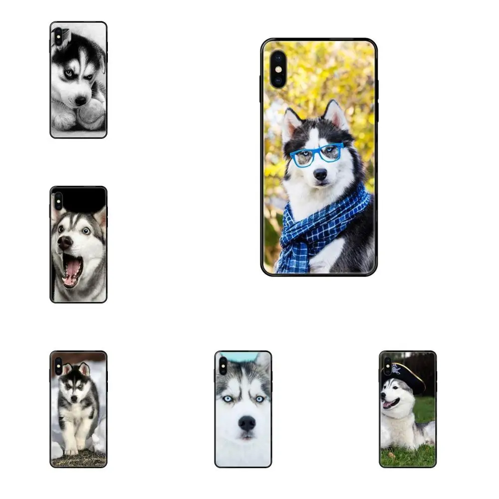 Забавные Симпатичные Хаски Сосы для Galaxy A10S A20 A20S A20E A21S A30 A30S A40 A50 A70 A71 A70E A5 A6 A7 A8 A10 |