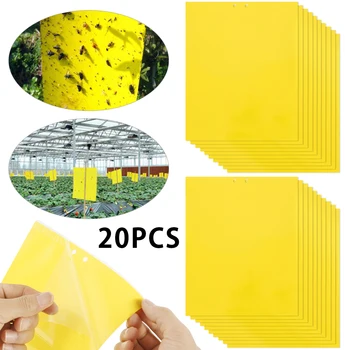 

20pcs Strong Flies Traps Bugs Sticky Board Catching Aphid Insects Pest Killer Outdoor Fly Trap for Aphids Fungus GnatsLeaf