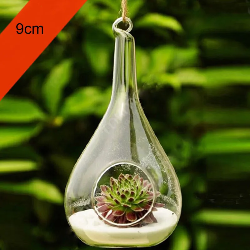 Transparent Round Glass Vase, Clear Flower Plant Stand, Hanging Hydroponic, Home, Office, Wedding, Garden Decor, 10 cm, 12cm 4