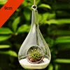 Transparent Round Glass Vase, Clear Flower Plant Stand, Hanging Hydroponic, Home, Office, Wedding, Garden Decor, 10 cm, 12cm 4