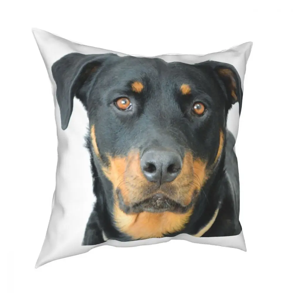 

Cute Realistic Rottweiler Dog Square Pillow Case Polyester Cushions for Sofa Funny Cushion Covers