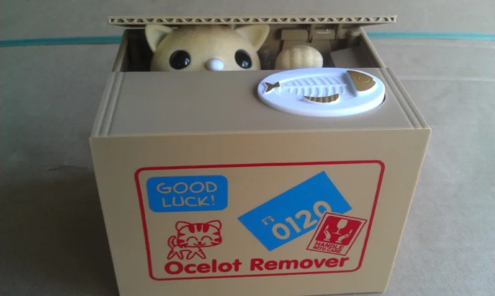 1141577346_1018016825