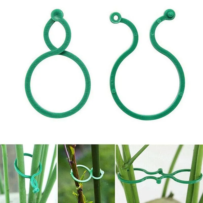 Garden Clips 50pcs/100pcs Trellis for Vine Vegetable Tomato To Grow Upright Garden Plant Stand Tool Accessories Plant Support