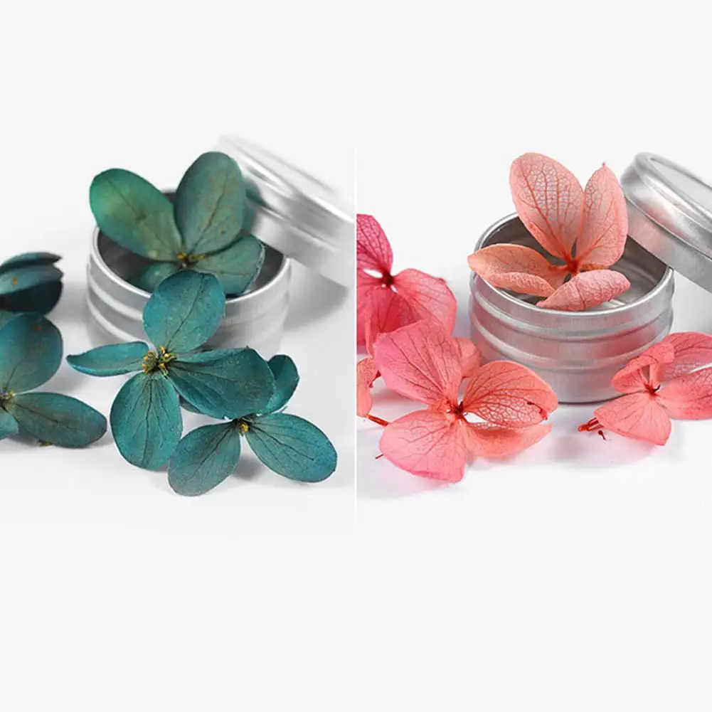 MeterMall наклейки для ногтей DIY Маникюр Искусство консервированные сухие цветы женские украшения для ногтей наклейки аксессуар everlastingsued цветы