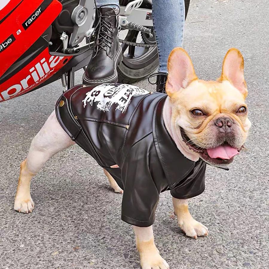 Dog motorcycle jacket Clearance