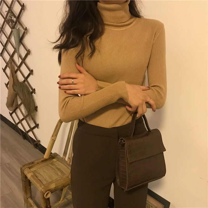 

Autumn Winter High Neck Sweater Women's All Macth Slim Long-Sleeved Chic Bottoming Shirt