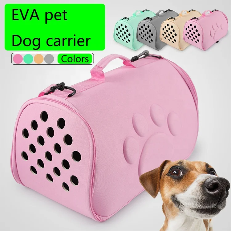 portable reptile carrier