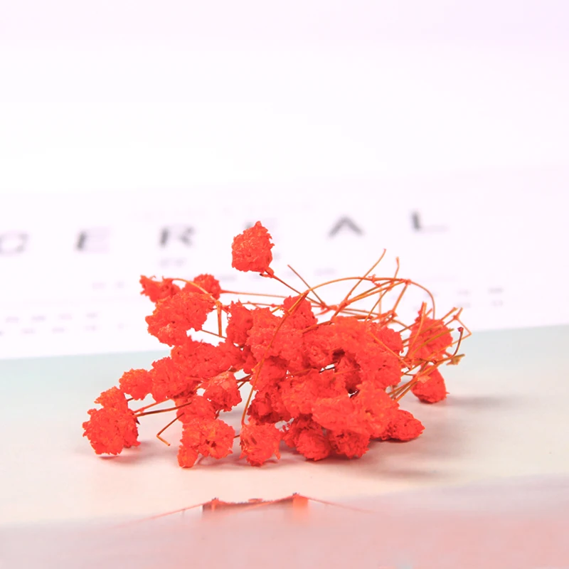 Свеча ручной работы DIY Материал сухой цветок свеча DIY производство воск ароматный сухой цветок натуральные ингредиенты ароматические свечи - Цвет: 1g