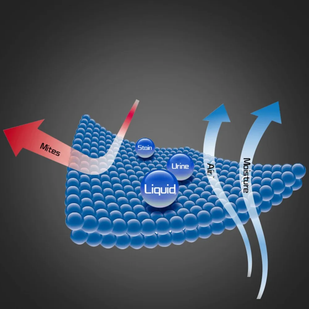 299772_no-logo_299772-3-08