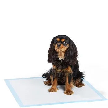 

Pet Disposable Pet Urine Pad Diaper Dog Cat Deodorant Absorption Pee Training Indoor Outdoor Absorbent Pads