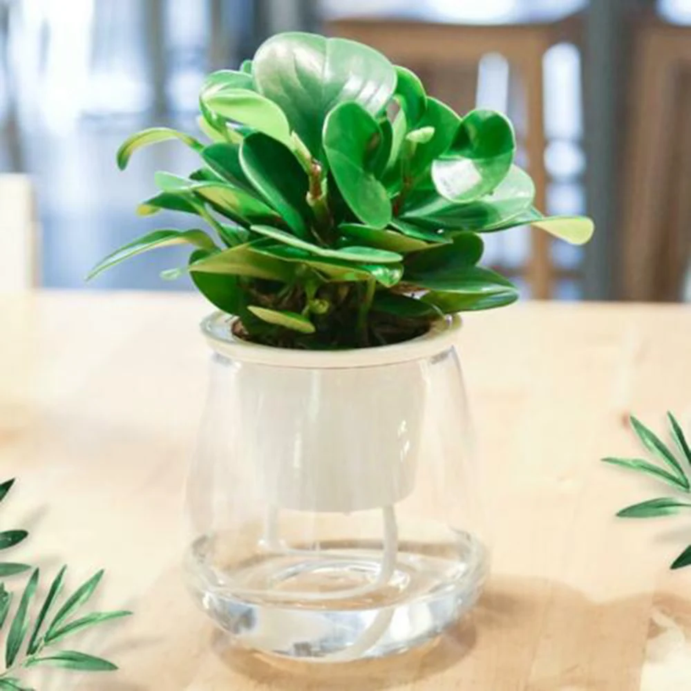 Прозрачный самополивающийся цветочный горшок, красивый цветочный горшок, украшение для дома, офиса, сада, садовые цветочные горшки, праздничный подарок