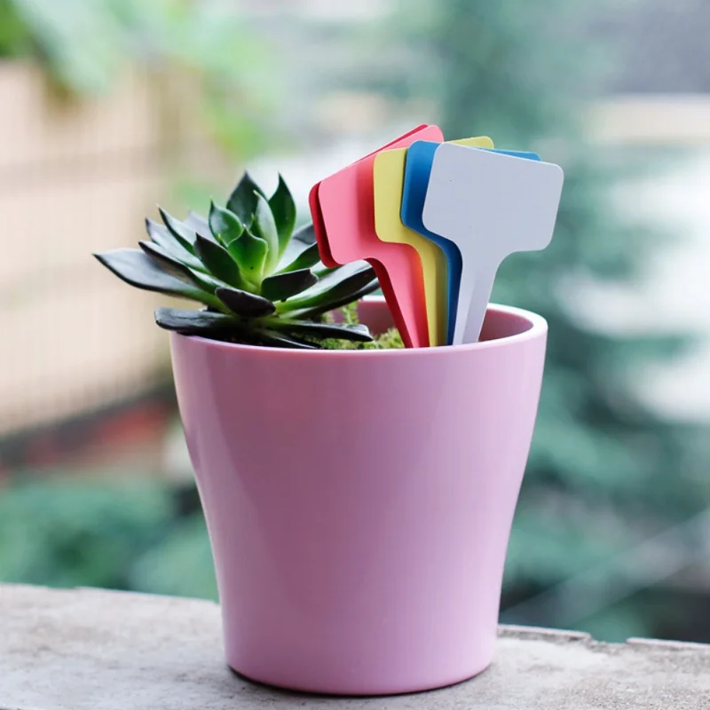 

T-shaped Waterproof Horticulture Plant Label Vegetable Flower Growing Label Tool Garden Marking Tool