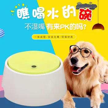 

Free Shipping Pet Dog Cat Anti Wet Protection Water Feeder Bowl Goods