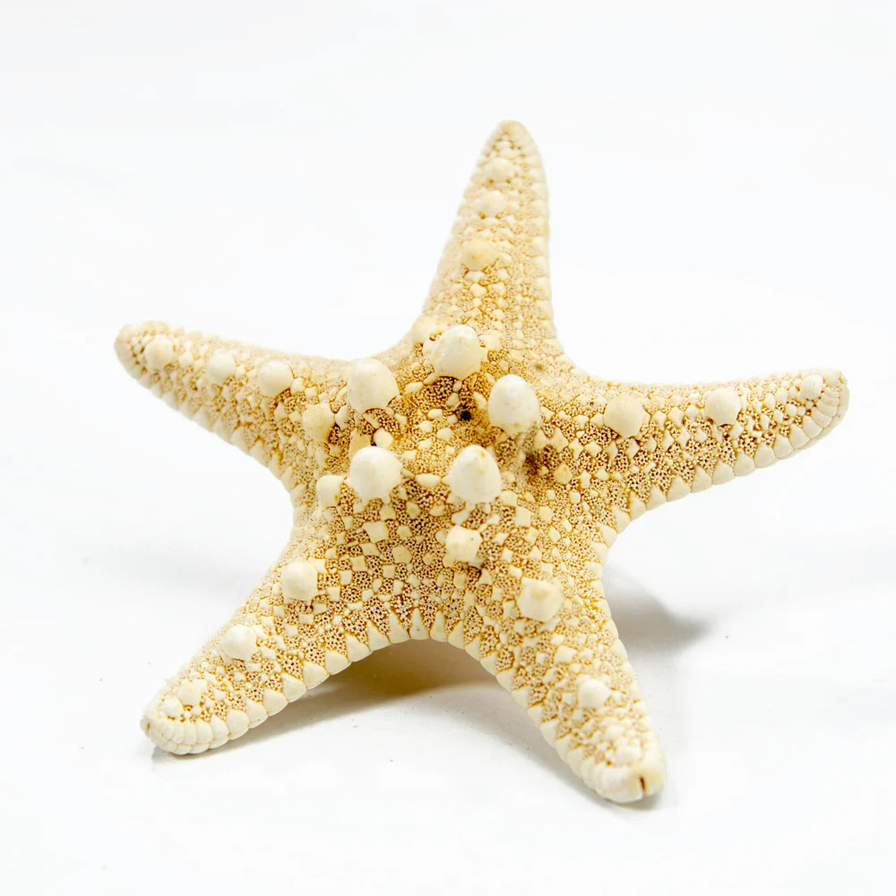 H6b471a237b9b4afa82d8a1c0860dfa0ez.jpg?width=1000&height=1000&hash=2000