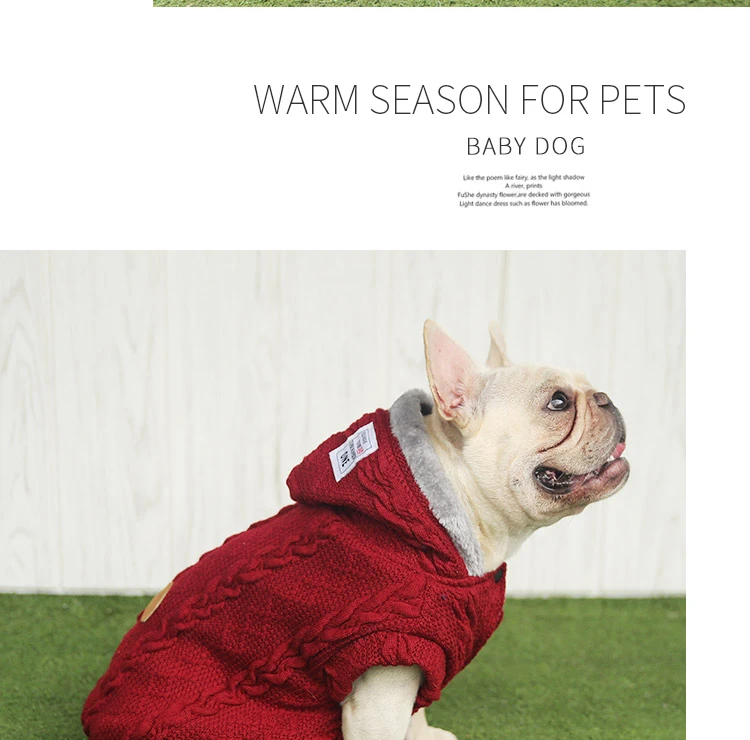 Одежда для собак, маленькая накидка для собаки, зимняя одежда для собак, кошек, мультяшный любимец чихуахуа, одежда, кавайный костюм для собак