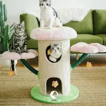 Chat Paradis Promotions Reductions Aliexpress