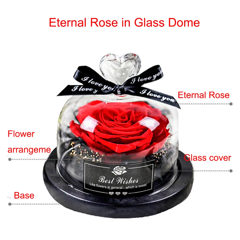 Eternal Rose (5)