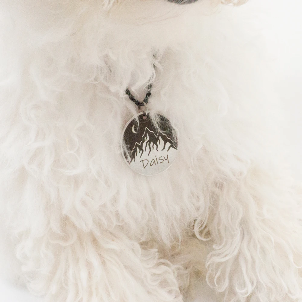 Dog ID Tag Engraved Retro Personalized Name ID Tag for Dogs Cats Puppies
