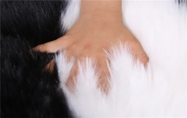 11288958368_1425114467