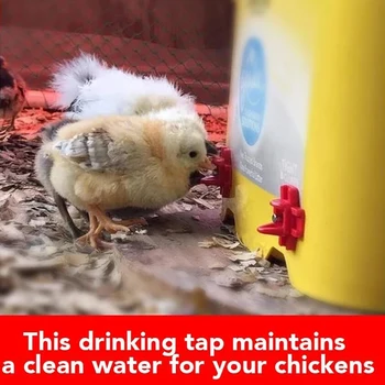 

10PCS Chicken Drinking Tap Horizontal Chicken Nipples Waterer Automatic