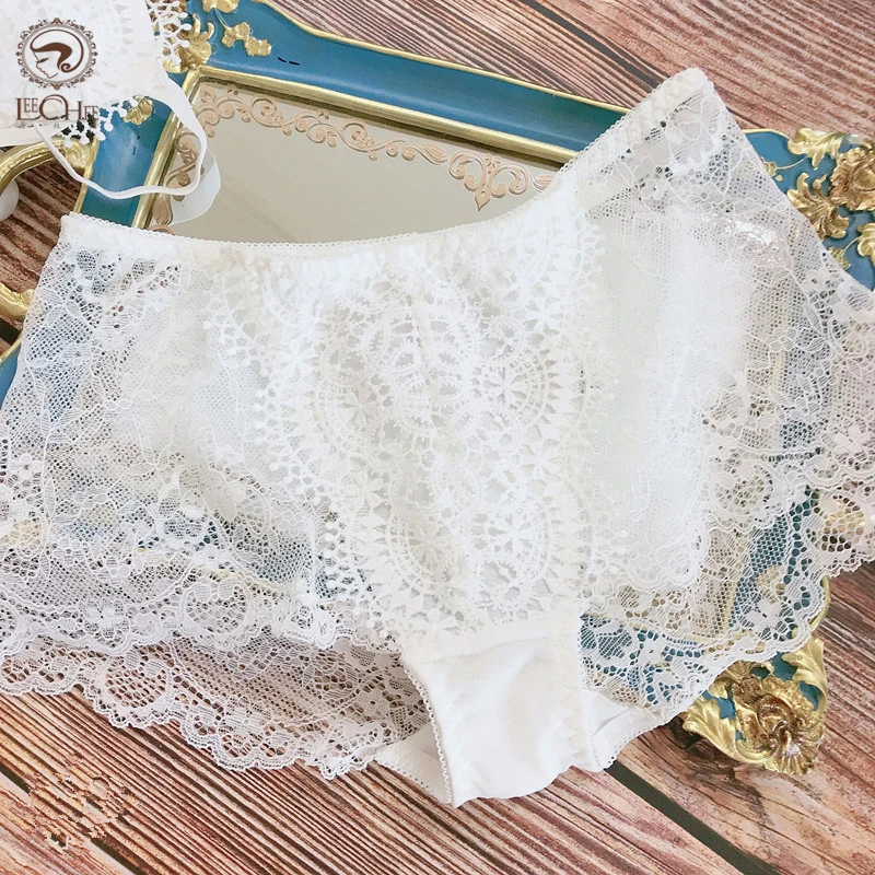 

Women Transparent Panties Sexy Lace Underwear Woman Sexy Panties Mesh Floral Lingerie Briefs Underpants Plus Size Women Fashion