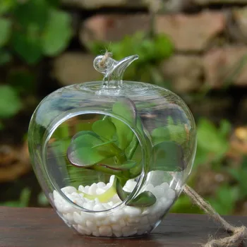 

64pcs/pack 10*11cm Apple Shaped Hanging Glass Terrarium Creative Table Stand Glass Vase Home Decorative Friend Gift Fruit Vase