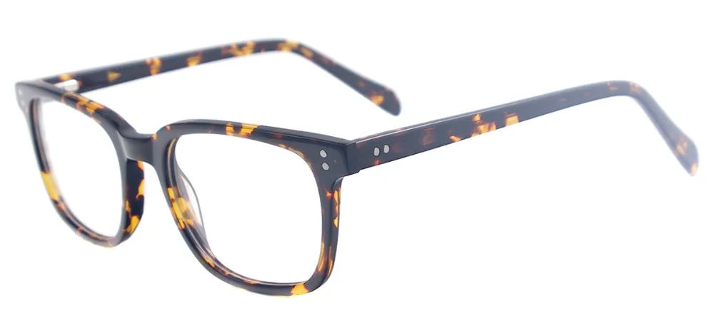 vpa041-c-tortoise_2