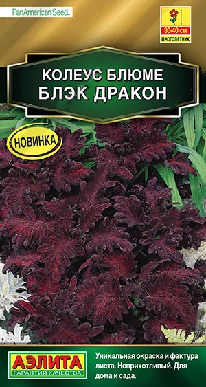 Колеус Блюме Блэк дракон 10шт/10 (цена за один пакет) | Дом и сад