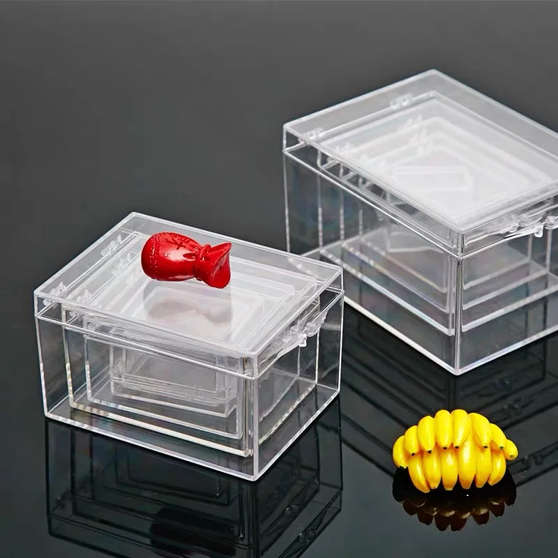 Many Sizes Plastic Box Transparent Small Box Rectangular Insect Shell Specimen Collection Display Box Desktop Storage Box