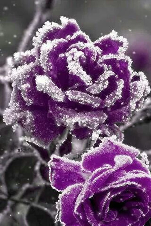 20191127_113932_012