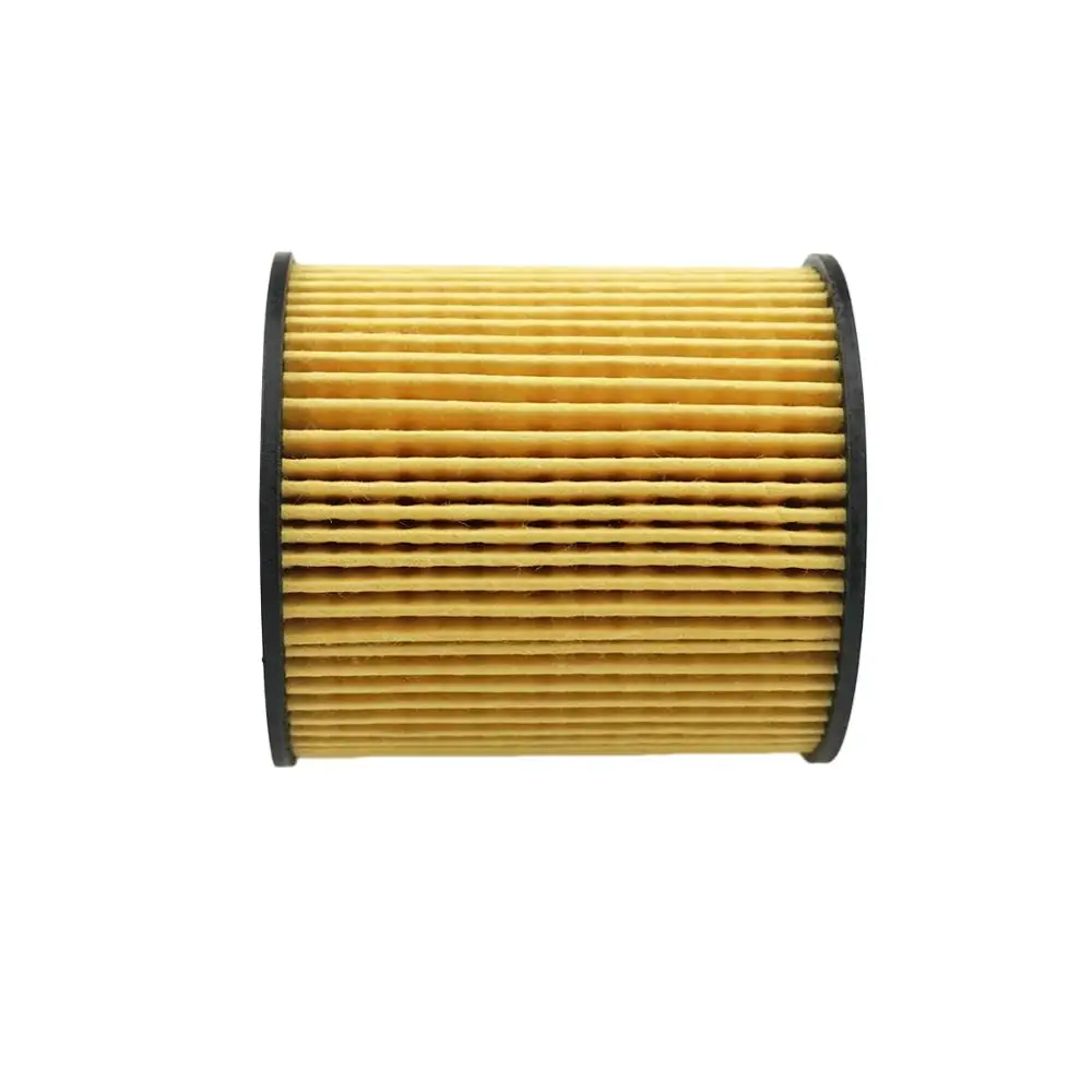 Oil Filter 1109X3 For Peugeot 207 1.6 2006-2013 206 3008 307 308 407 Citroen C4 2004-2011 C3 C5 DS3 DS4 DS5 Ford Transit 1109Z1 car oil filter,car filter