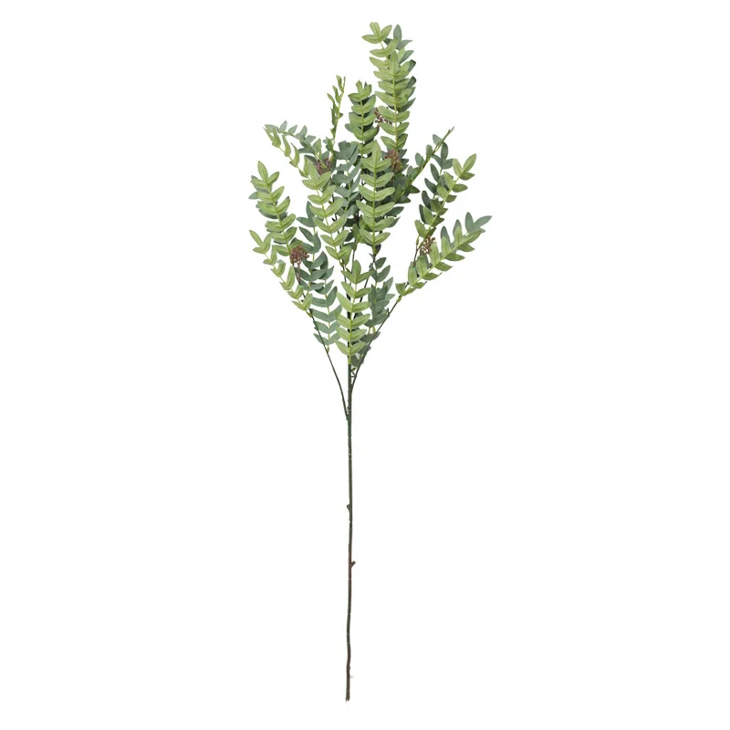 12196267965_1358735368