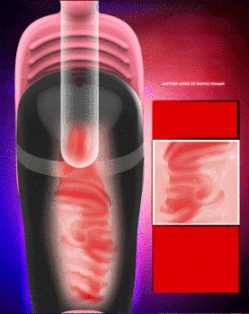 Sex Toys For Men Deep Throat Oral Sex Masturbators With Voice Suction Pocket Pussy Masturbator Blowjob Machine Adult Sexual Toy 5