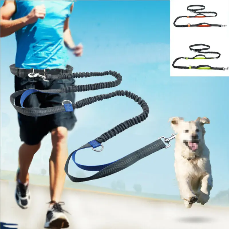 2021 New Reflective Leash Traction Rope Pet Dog Running Belt Elastic Hands Freely Jogging Pull Metal D-ring Leashes | Дом и сад