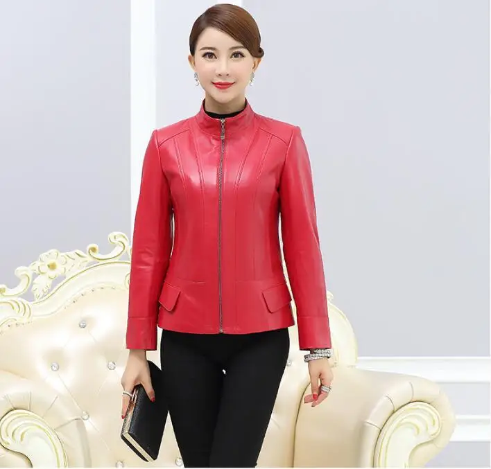 QQ0802104801