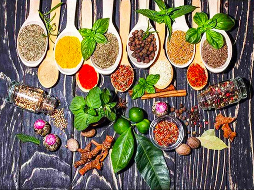 AZQSD-Draw-By-Number-On-Canvas-Seasoning-Kits-Drawing-Canvas-HandPainted-Wall-Art-Painting-By-Numbers (2)