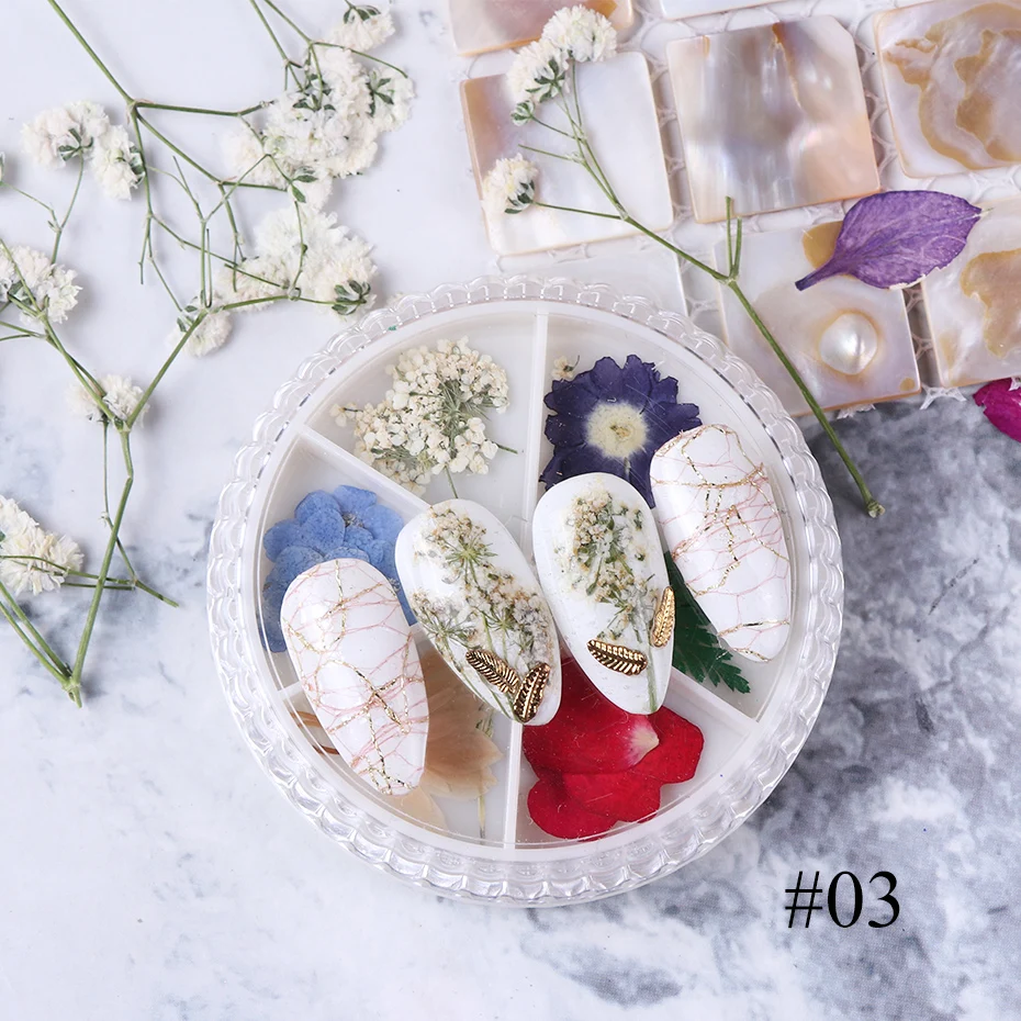 Смесь натуральных сушеных цветов для ногтей 3D украшения для дизайна ногтей ювелирные изделия прессованные цветы цветочный лист наклейка слайдер лак Маникюр TR1559