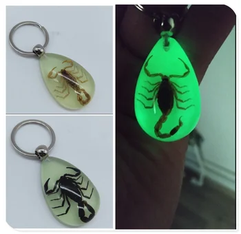 

Motorcycle Accessories Insect Luminous Amber Keychain Waist Pendant for Aprilia CAPANORD 1200 Rally ETV1000 V4R FactoRy