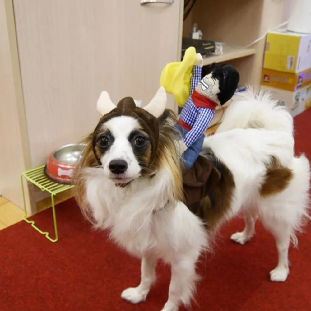 Собака Хэллоуин костюмы наездника куклы ковбой Рыцари Цзинь Мао Тедди личность забавная Одежда для собак Мода