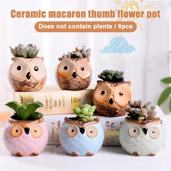 

6PCS Owl Succulent Thumb Flower Pot Macaron Kiln Variable Flow Glaze Retro Ceramic Animal Ornaments BDF99