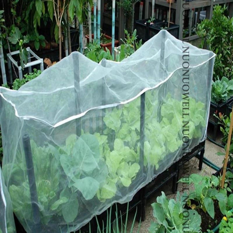 Building a garden plant protection cover Information