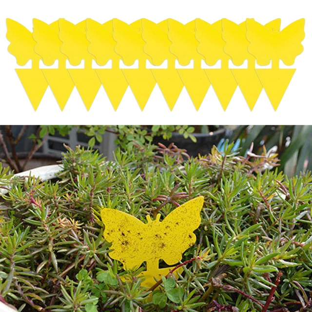 10Db Sárga Pillangó Alakú Matrica Kétoldalas Rovarcsapda Ragasztó Ragacsos Papír Növényi Virágok És Zöldségek Szúnyog