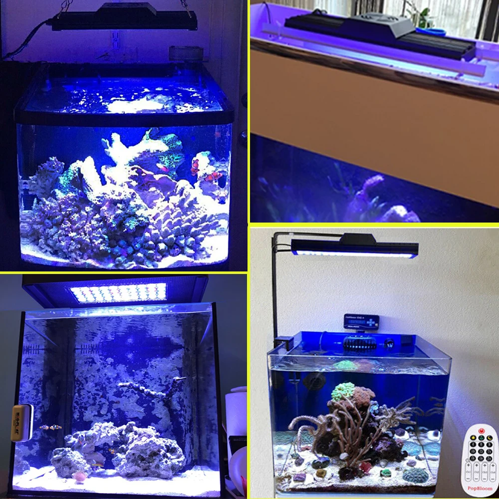 PopBloom аквариумный светильник светодиодный риф морской аквариум лампа для
