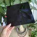 834 Black