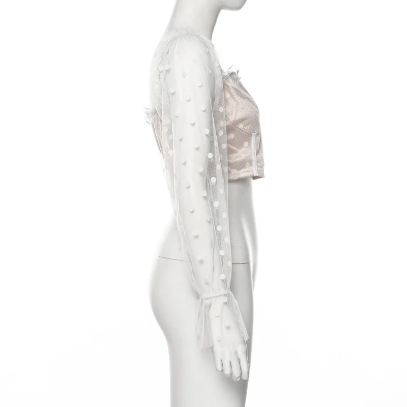 11980140386_1973477789