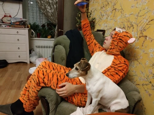 U84c55444deee492bbd26c542e8664a00s