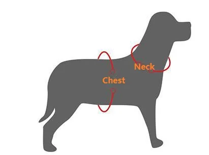 QQ截图20191101160723