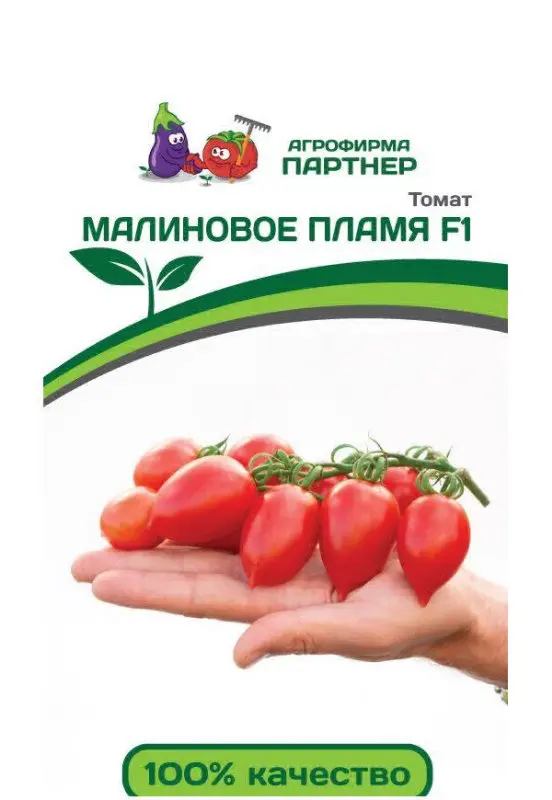 Томат Малиновое Пламя Отзывы Фото