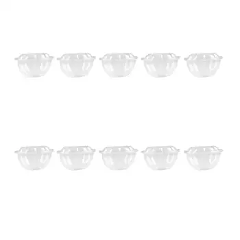 

10 PCS Packing Boxes 550ml Disposable Salad Carry Out Box Plastic Fruit Packing Container Take Out Box For Dessert Sushi Food
